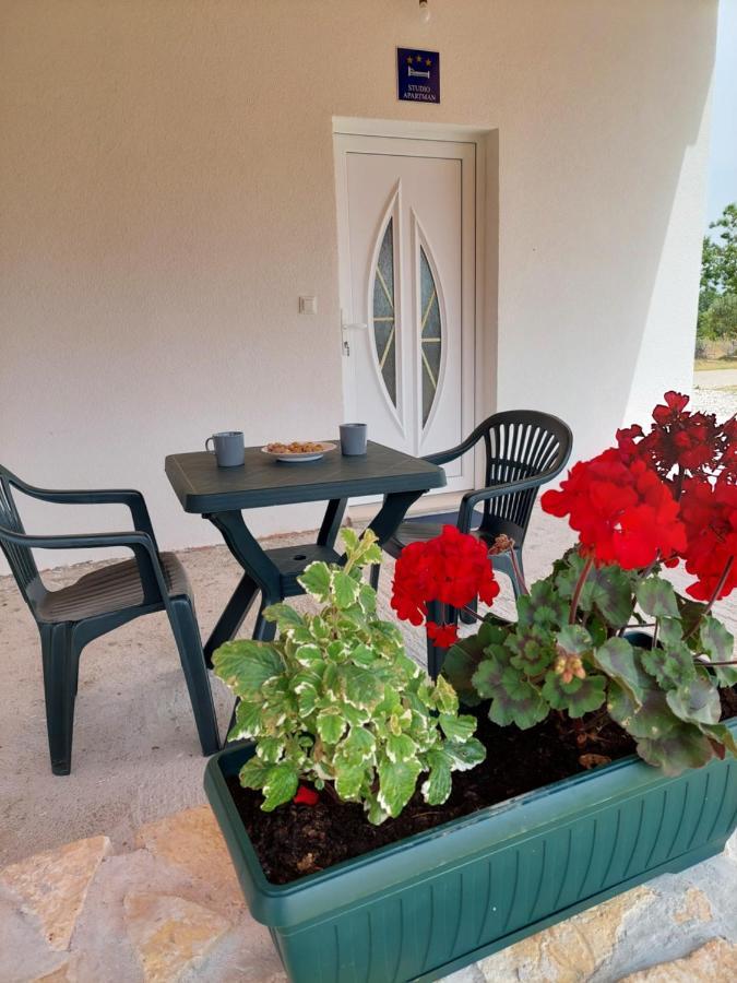 Apartmani Dejan سكرادين المظهر الخارجي الصورة